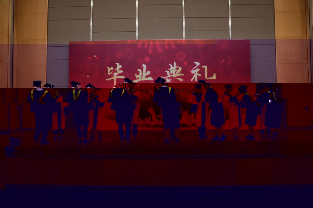 11FC6